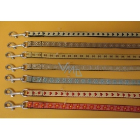 B&F Nylon Collar + Leash Kit 1.5 x 26-38 / 125 cm 1pc