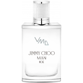 Jimmy Choo Man Ice EdT 100 ml men's eau de toilette