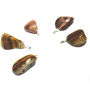 Aragonite Tumbler pendant natural stone, 2,2-3 cm, 1 piece
