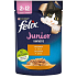 Felix Fantastic Junior capsule chicken in jelly, complete food for kittens up to 1 year 85 g