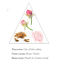 Panier des Sens Rose luxury French regenerating, soothing hand cream 30 ml