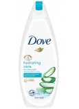 Dove Hydrating Care shower gel with aloe and birch water 250 ml