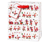 BSB Luxury gift paper bag 23 x 19 x 9 cm Santa VDT 002 A5
