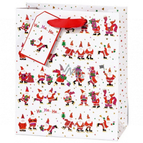BSB Luxury gift paper bag 23 x 19 x 9 cm Santa VDT 002 A5
