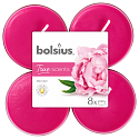 Bolsius Aromatic 2.0 Peony - Peony maxi scented tea lights 8 pieces, burning time 8 hours