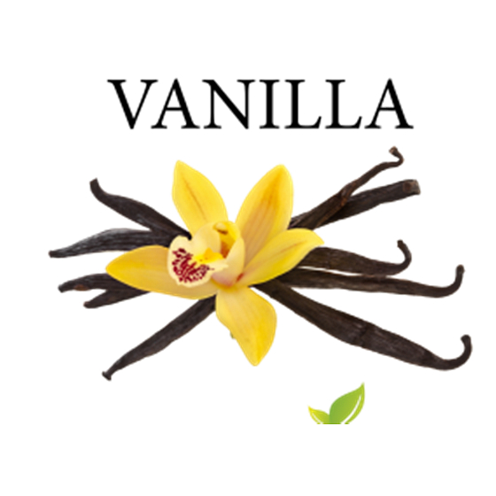 Aroma Vanilla Alcoholic flavor for pastries, beverages, ice cream and confectionery 1 l