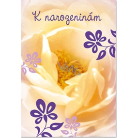 Ditipo Musical Birthday Card Yellow Flower No Name Water Lily 224 x 157 mm