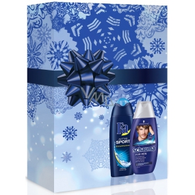 Fa Men Active Sport Energizing shower gel 250 ml + Schauma for Men shampoo 250 ml, cosmetic set