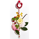 Nina Ricci Nina Rouge EdT 50 ml eau de toilette Ladies