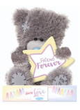 Me to You Teddy Bear Friends forever 14 cm