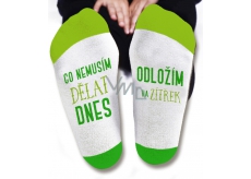 Nekupto Family Gifts With Humor Socks What I don't have to do today, size 39-42