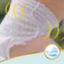 Pampers Premium Care size 6, 15+ kg diaper pants 31 pieces