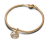 Charm Sterling silver 925 Gold plated Zodiac sign Leo, pendant for bracelet