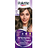 Palette Intensive Color Creme hair dye 6-1 Ice Dark Blonde 50 ml