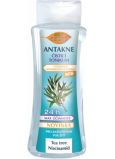 Bione Cosmetics Antakne cleansing tonic for problematic and oily skin 260 ml