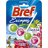 Bref Escapes Power Active 4 Hawaii Hibiscus WC block 50 g