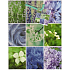 Nekupto Gift paper bag 23 x 18 x 10 cm Flowers 1111 50 KFM