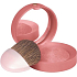 Bourjois Fard Pastel Joues Blush 74 Rose Ambre 2.5 g