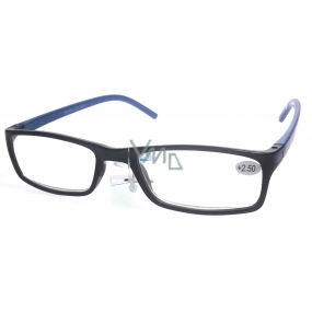 Berkeley Reading glasses +2.5 plastic black blue side 1 piece MC2 ER4045