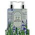 Salsa Collection Lavender, sage and mint shower gel 240 ml + body lotion 240 ml, cosmetic set