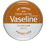 Vaseline Lip Therapy Cocoa butter kerosene lip ointment 20 g