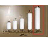 Lima Gastro smooth candle white cylinder 60 x 300 mm 1 piece