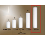 Lima Gastro smooth white pillar candle 60 x 300 mm 1 piece