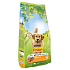 Purina Friskies VitaFit Balance with chicken and added vegetables complete food for adult dogs 3 kg