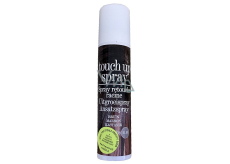 Touch Up Spray Spray to cover gray and grey hair Chestnut Brown 75 ml