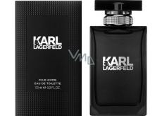 Karl Lagerfeld pour Homme EdT 100 ml eau de toilette Ladies