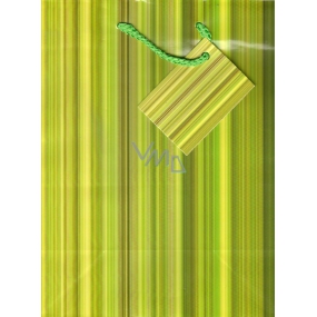 Nekupto Gift paper bag 23 x 18 x 10 cm Green stripes 1 piece 622 50 KAM