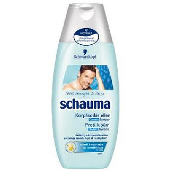 Schauma for Men anti-dandruff hair shampoo 400 ml