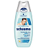 Schauma for Men anti-dandruff hair shampoo 400 ml