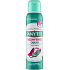 Sanytol Shoe Disinfectant Spray, 150 ml