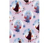 Ditipo Gift wrapping paper 70 x 200 cm Christmas Disney Anna and Elsa in circles light purple