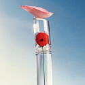 Kenzo Flower by Kenzo eau de parfum refillable bottle for women 100 ml