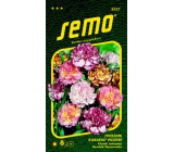 Semo Carnation Pink Picotee 0.25 g