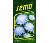 Semo Astra Chinese Duchesse Silvery Blue 0.5 g