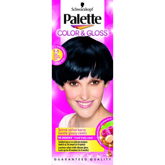 Schwarzkopf Palette Color & Gloss hair color 1 - 1 Black blueberry