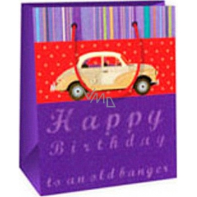 Ditipo Gift paper bag 11.4 x 6.4 x 14.6 cm purple car