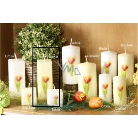 Lima Flower Tulip scented ivory candle with decal tulip prism 45 x 120 mm 1 piece