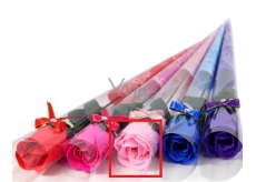 Gift rose rose 19 pink 2096