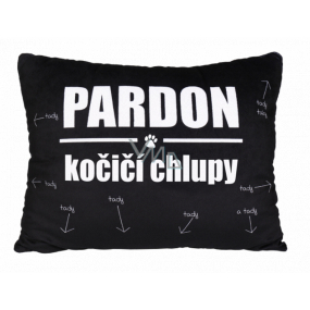 Albi Humorous pillow large Pardon, cat hair 36 cm x 30 cm