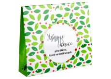 Albi Christmas tea in a box Beautiful Christmas 50 g