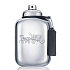 Coach Platinum EdT 100 ml men's eau de toilette