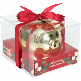 Albi Mini treasure box golden piglet Beautiful holidays to a great friend 6 cm