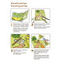 Ditipo Getting Started with Cutting out Animals in the Forest creative book 17,5 x 24,1 x 0,8 cm, age 3+