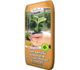 Peat Soběslav Gardening Substrate A for Sowing, Propagation, and Cutting 20 l