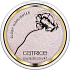 Catrice Glow Patrol Glowy Highlighter Brightener C03 Icon 8.5 g