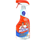 Mr. Muscle Bathroom Mandarin Cleaner Spray 500 ml